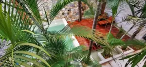 Cenote Zaci Hotel