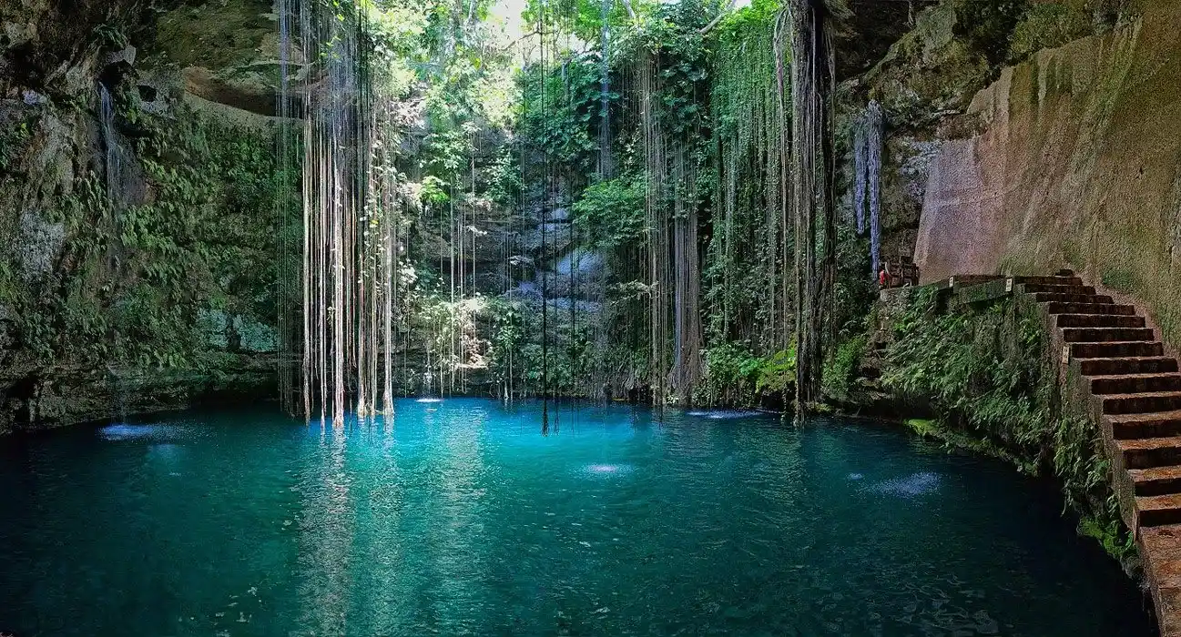 Cenote Xtoloc: A Complete Guide for an Unforgettable Experience 🤿